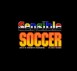 Sensible Soccer: International Edition - SNES
