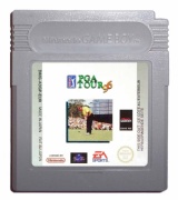 PGA Tour 96