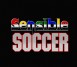 Sensible Soccer - SNES