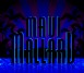 Donald in Maui Mallard - SNES