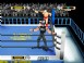 WCW / nWo World Tour - N64