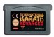 International Karate Advanced - Game Boy Advance