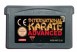 International Karate Advanced - Game Boy Advance