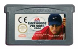 Tiger Woods PGA Tour 2004