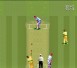 Super International Cricket - SNES