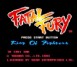 Fatal Fury - SNES