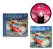 Daytona USA 2001 - Dreamcast