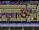 Battletoads & Double Dragon - NES