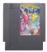 Battletoads & Double Dragon - NES