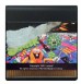 Super Skweek - Atari Lynx